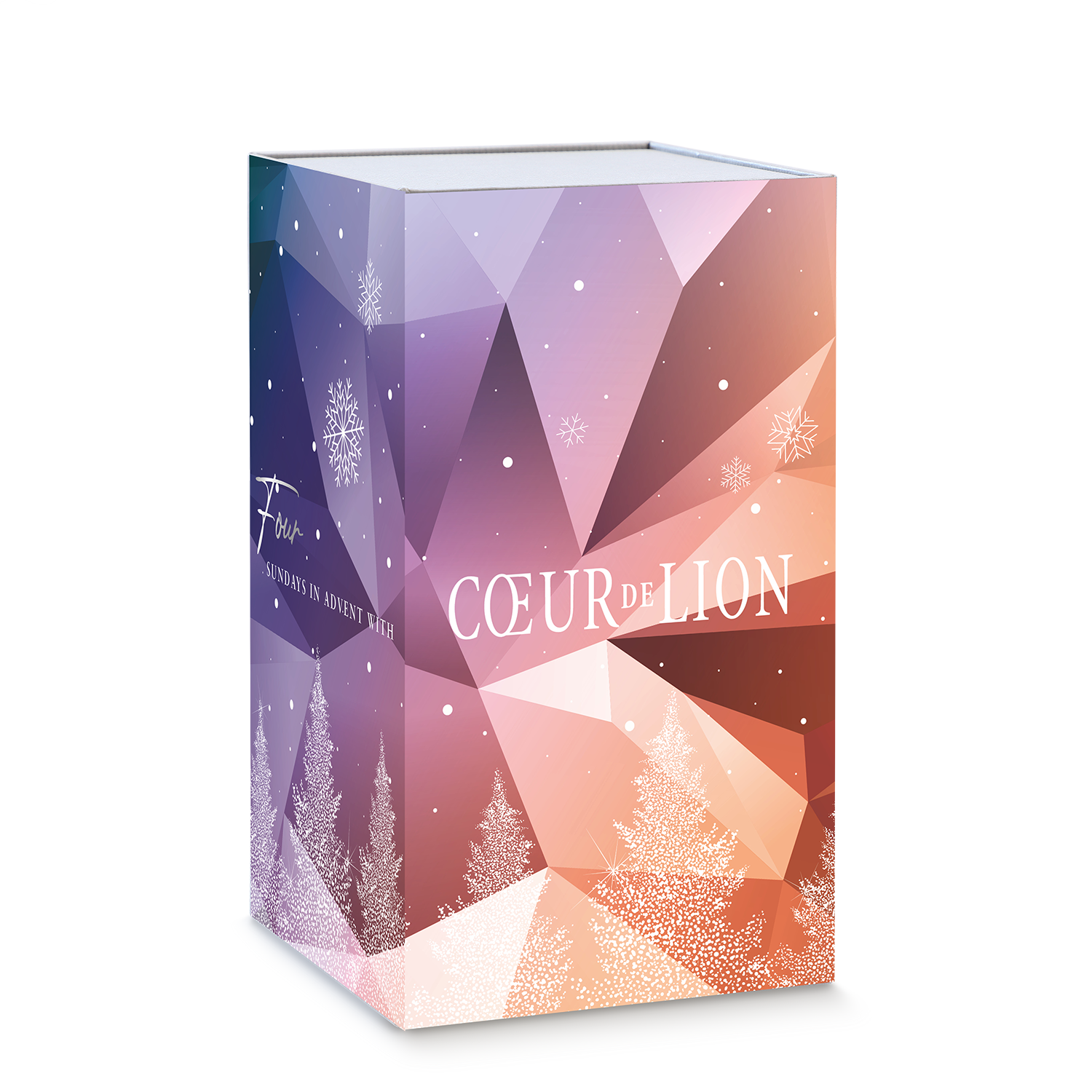 Advent Calendar Classic Multicolor Winter silver