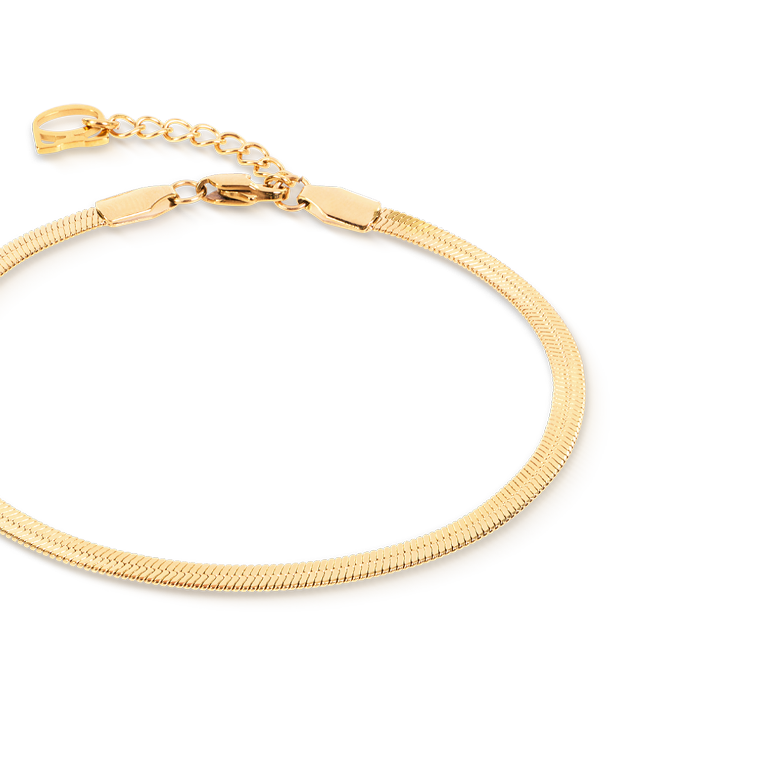 Flat Snake Chain Bracelet Gold