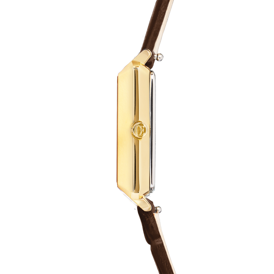 Watch Iconic Spikes bracelet Leather Mocha Mousse gold